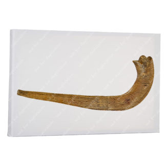 Shofar - Ancient Canvas Print