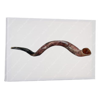 Shofar - Tribal Canvas Print